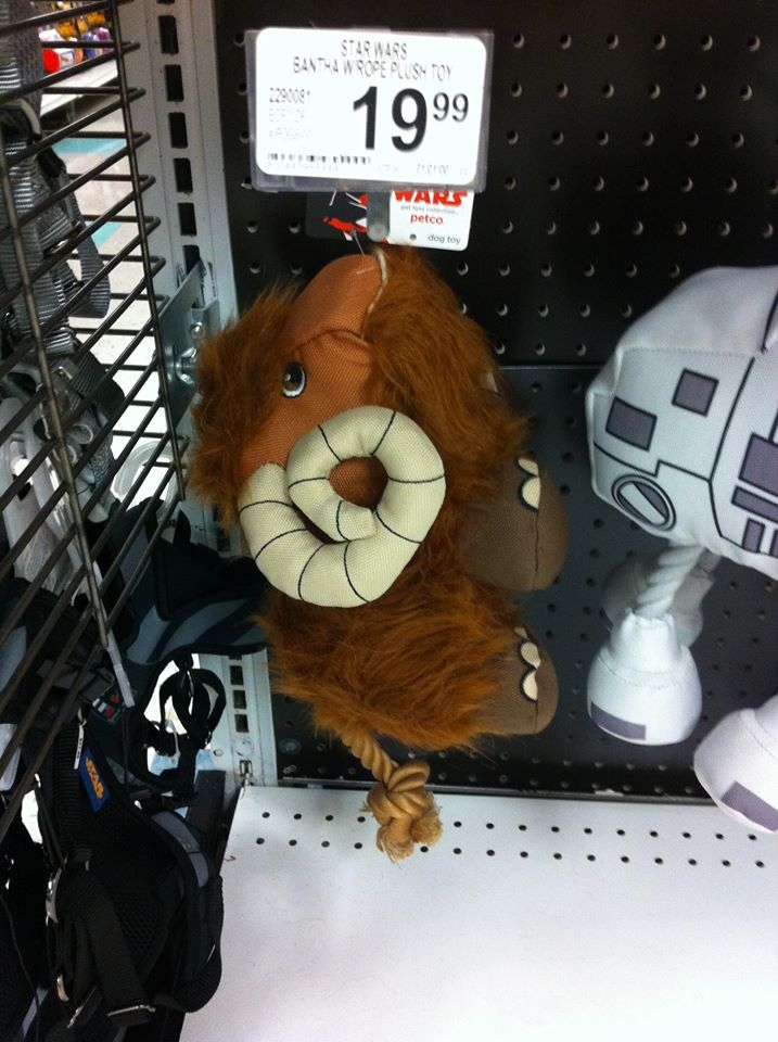 yoda dog toy petco