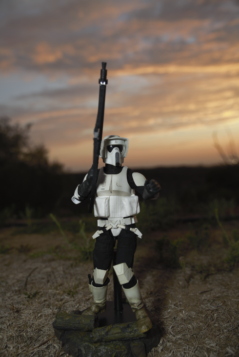 sideshow scout trooper exclusive